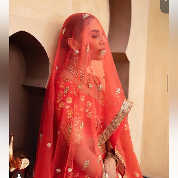 Lehnga choli(pakistani outfit) and pouch. - Picture 3 of 5